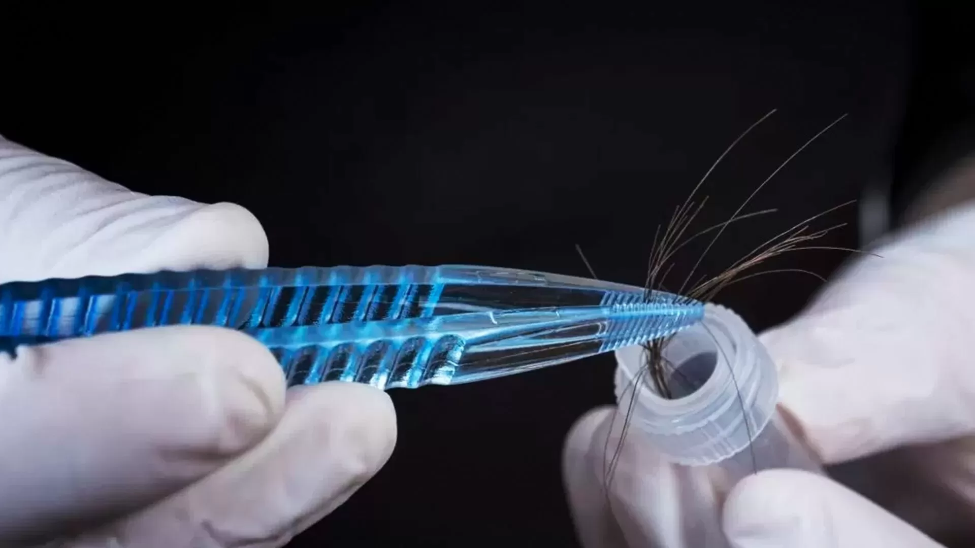 Exame Toxicológico Novos Prazos